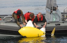 SHOAL Research Trial