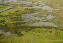 BMT WBM wins award for its environmental work on Hexham swamp, Australia