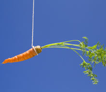 Generic image of a dangling carrot