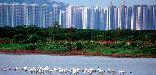 Skyscraper horizon viewed from across water.
