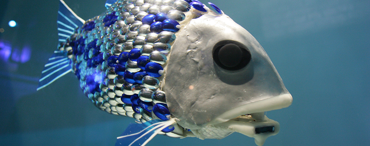 Robotic Fish